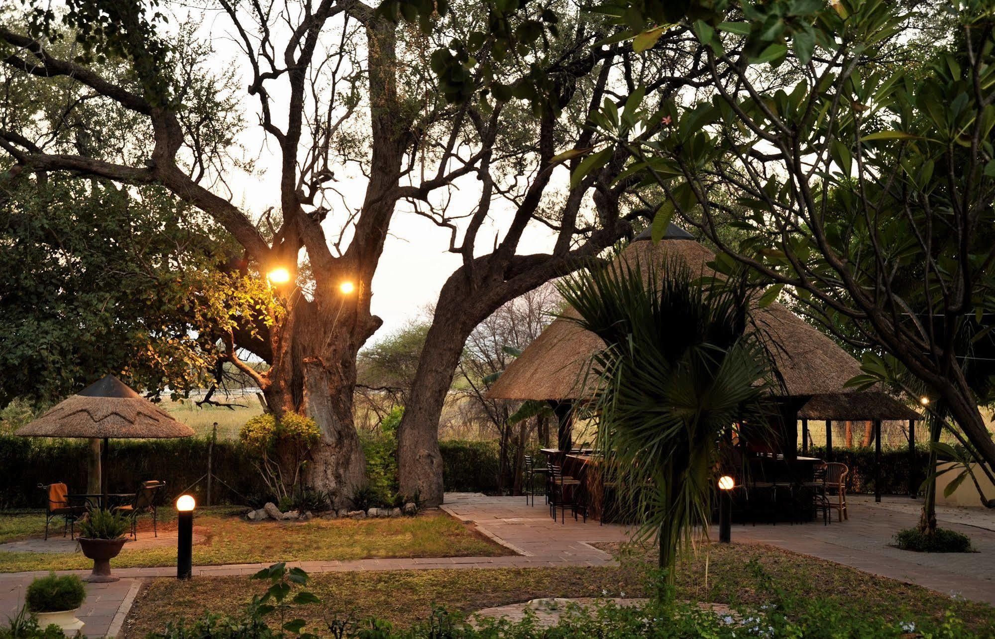 Cresta Riley'S Hotel Maun Exterior photo